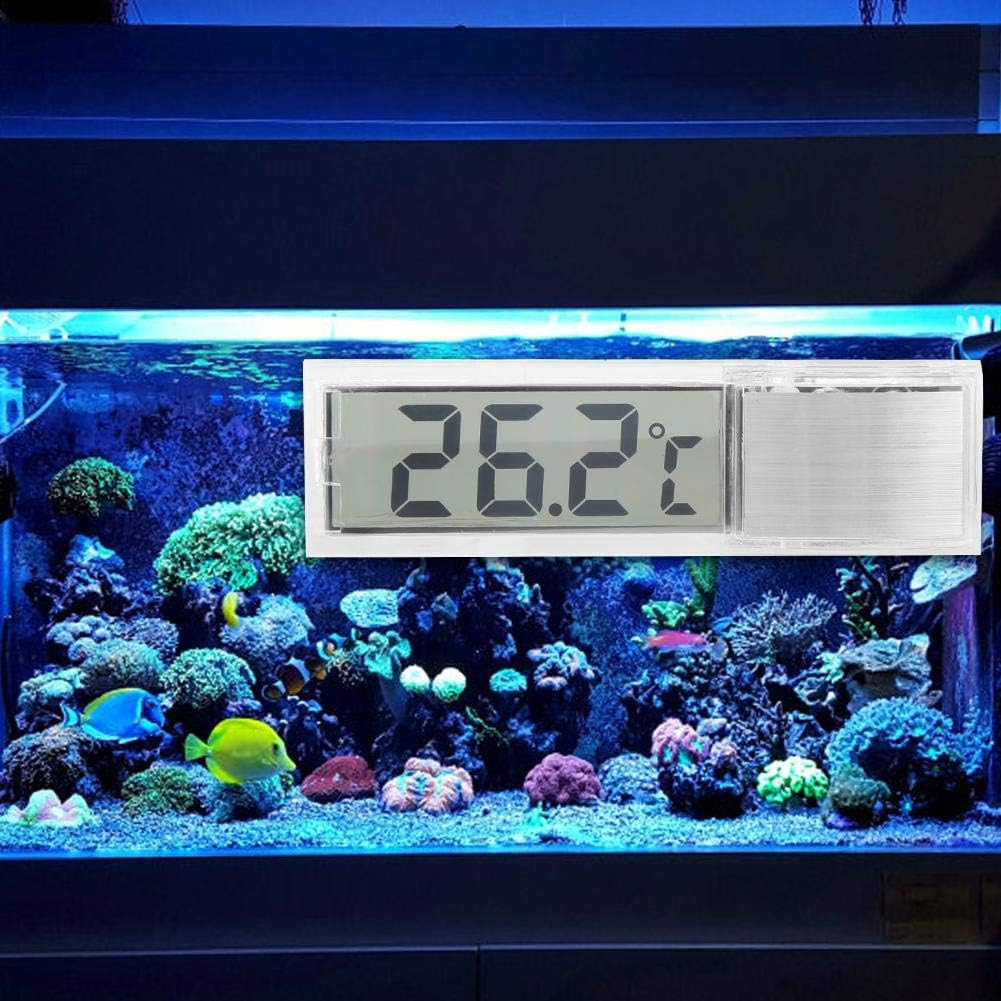 Reloj Termometro para Pecera Auto - Imagen 3
