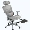 Silla de Escritorio Ergonómica Plus Gris